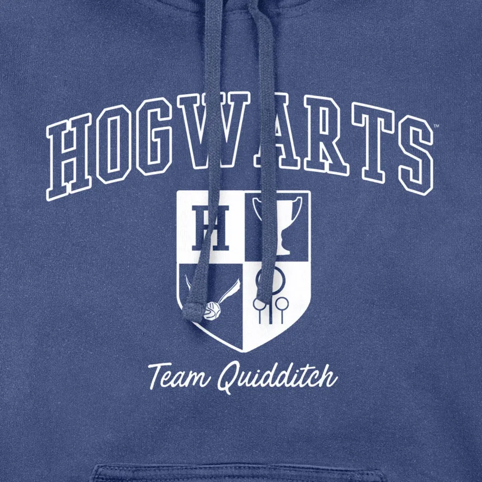 Harry Potter Hogwarts Team Quidditch Vintage Adults Hoodie-Bioworld International Cheap