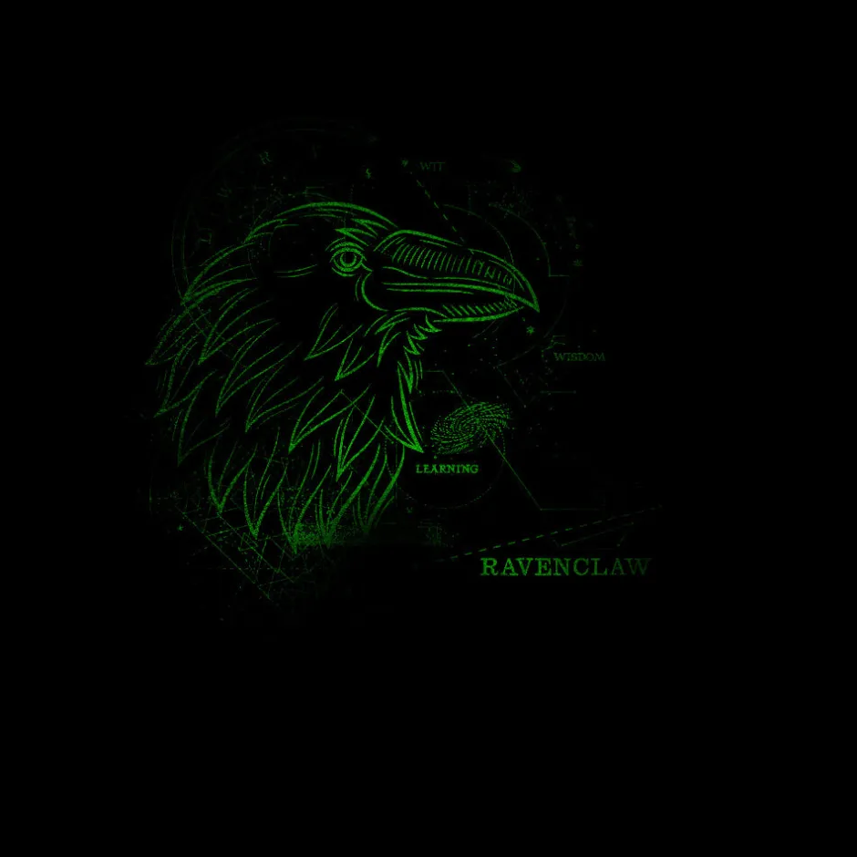 Harry Potter Ravenclaw House Glow in The Dark Adults T-Shirt-Bioworld International Cheap