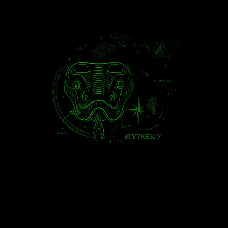 Harry Potter Slytherin House Glow in The Dark Adults T-Shirt-Bioworld International Best Sale