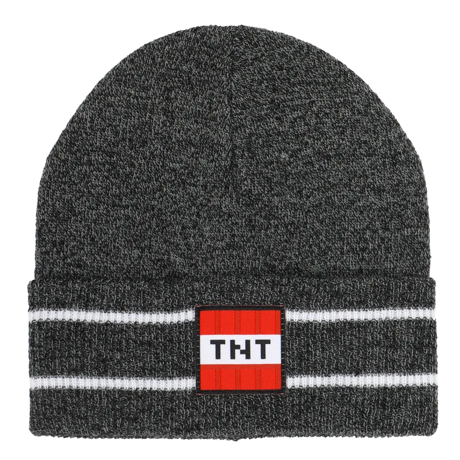 Minecraft 2 Pack Knitted Stripe Cuff Kids Beanies-Bioworld International Online